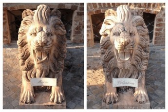 fiori-matrimonio-torino-villa-bria