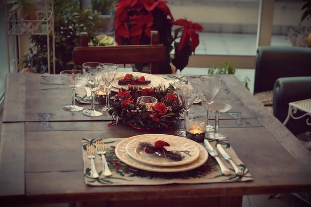 fiori-natale-decorazioni-torino