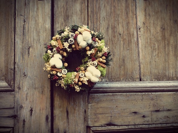 fiori-natale-decorazioni-torino