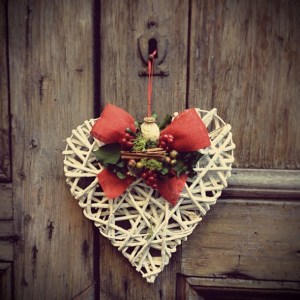 fiori-natale-decorazioni-torino