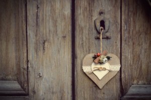 fiori-natale-decorazioni-torino