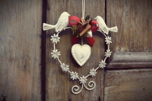 fiori-natale-decorazioni-torino