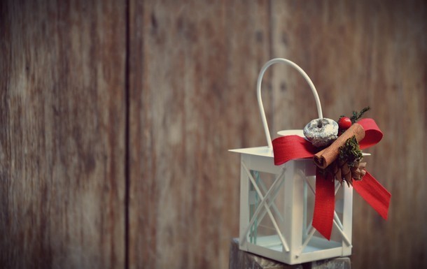 fiori-natale-decorazioni-torino