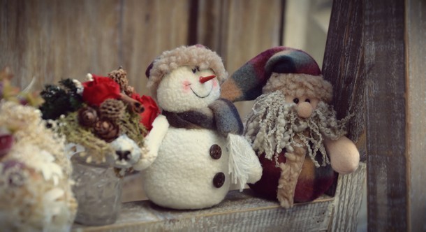 fiori-natale-decorazioni-torino