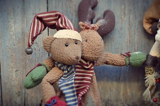 fiori-natale-decorazioni-torino