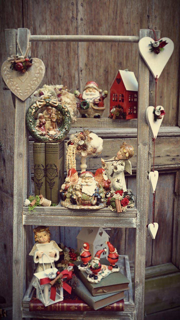 fiori-natale-decorazioni-torino