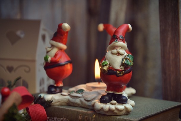 fiori-natale-decorazioni-torino