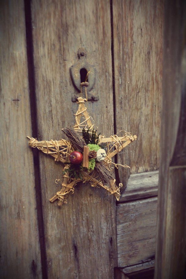 fiori-natale-decorazioni-torino