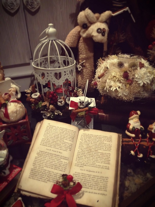 fiori-natale-decorazioni-torino