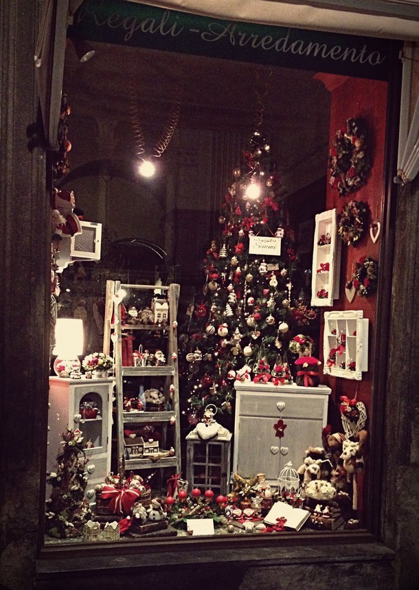 fiori-natale-decorazioni-torino