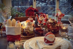 fiori-natale-decorazioni-torino-CHRISTMAS 22