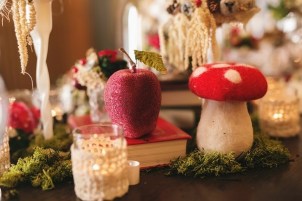 Christmas-Snow-white-shooting-2015 (34)