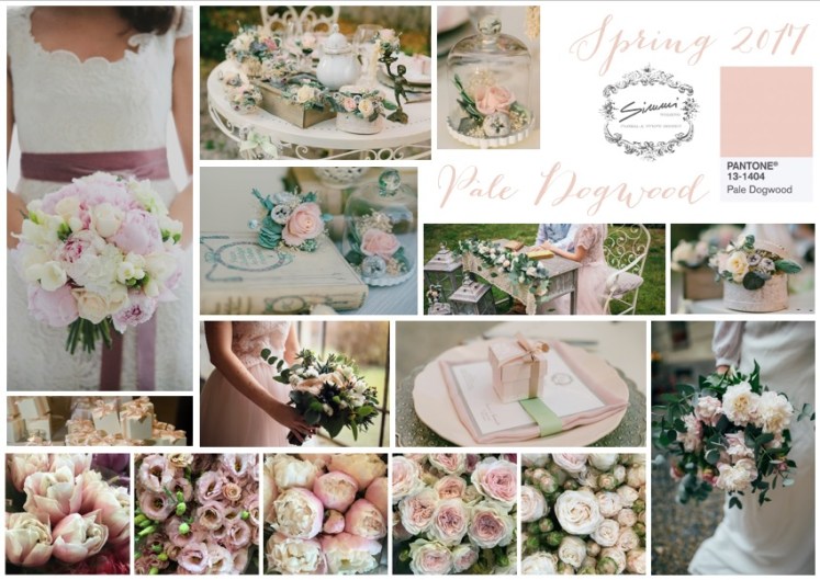 pale-dogwood-pantone-spring-2017-color-simmi