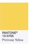 pantone-color-2017-primavera-simmi2