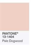 pantone-color-2017-primavera-simmi6