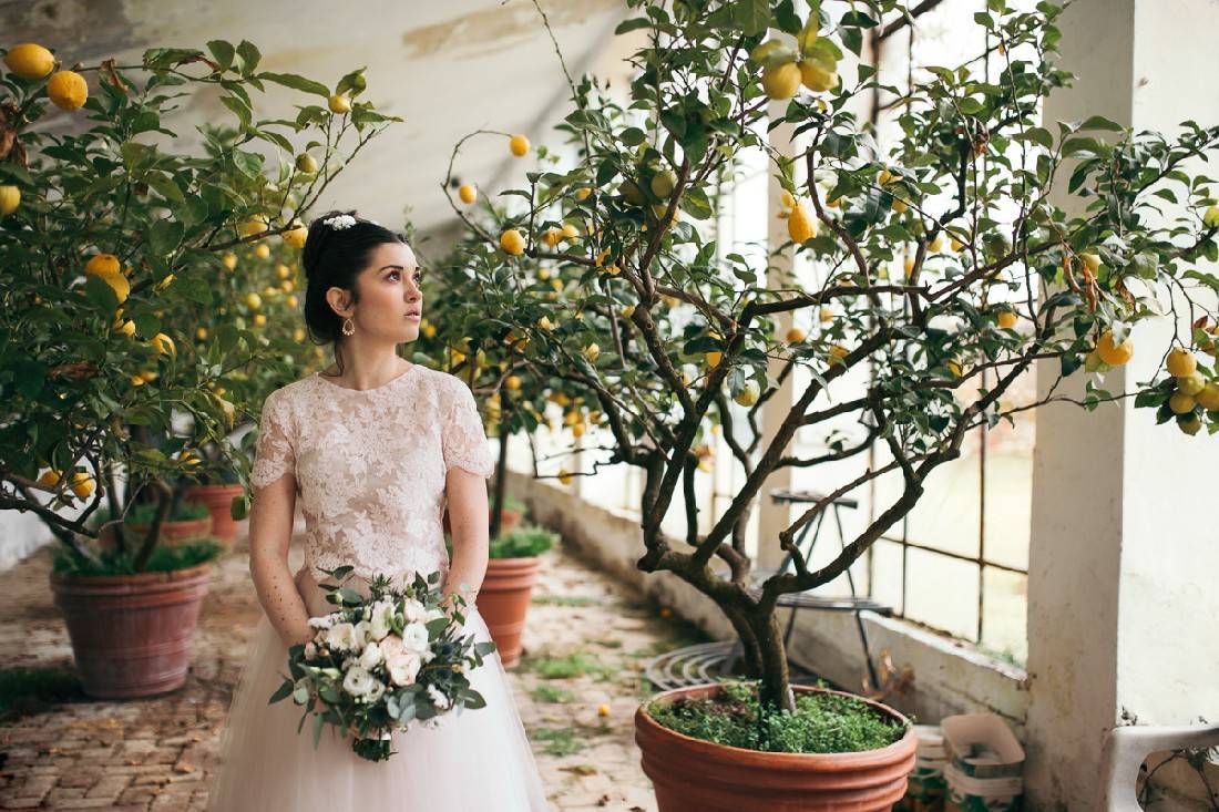 bouquet-cipria-shabby-simmi-floral-design