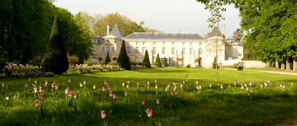 Fiori per un matrimonio: la rosa
