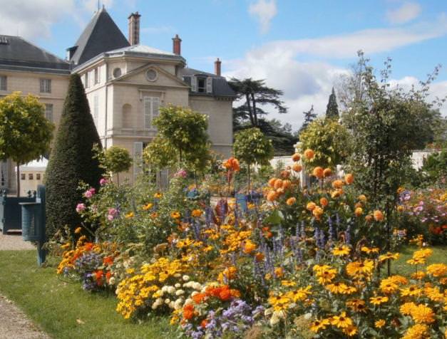 Fiori per un matrimonio: la rosa