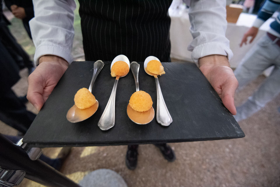 Location per matrimonio a Torino: Villa Somis