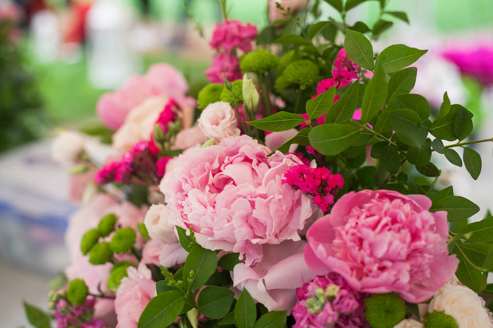 La festa per il diciottesimo al Castello di Collegno