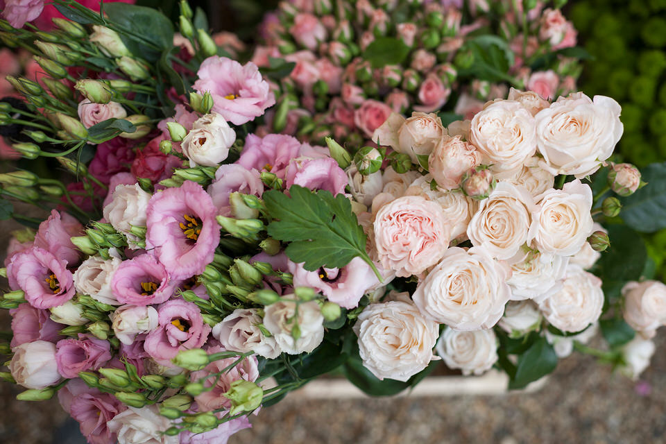 La festa per il diciottesimo al Castello di Collegno