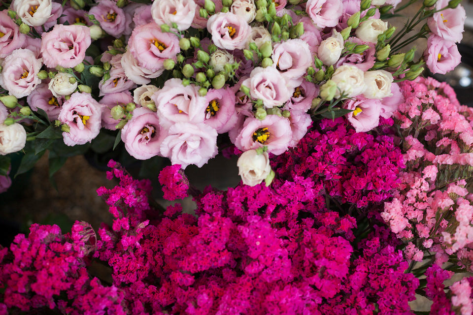 La festa per il diciottesimo al Castello di Collegno