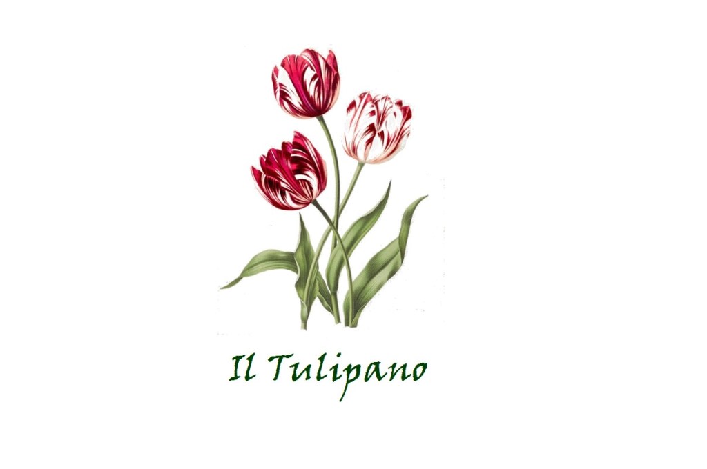 Fiori per un matrimonio: il tulipano