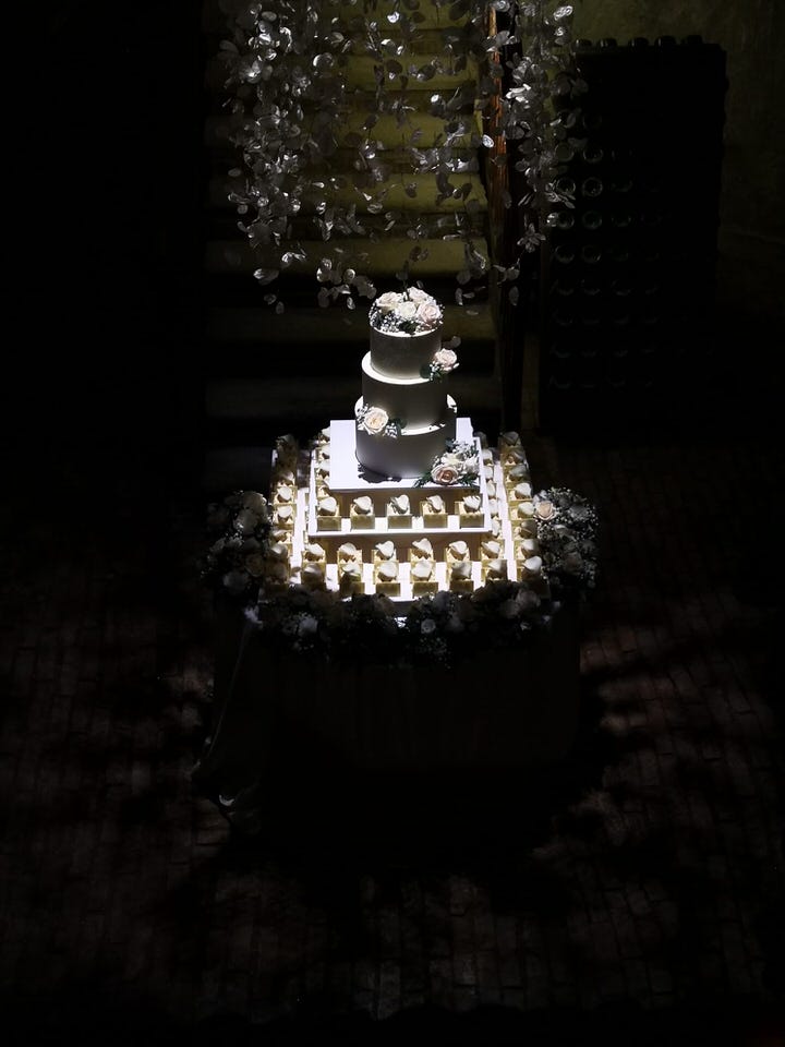 Un matrimonio invernale a Fontanafredda